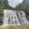 Abbey Falls, Mysore and Coorg Tour