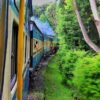 Nilgiris Railway Toy Train Ooty
