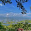 Loktak Lake, Moirang, Manipur